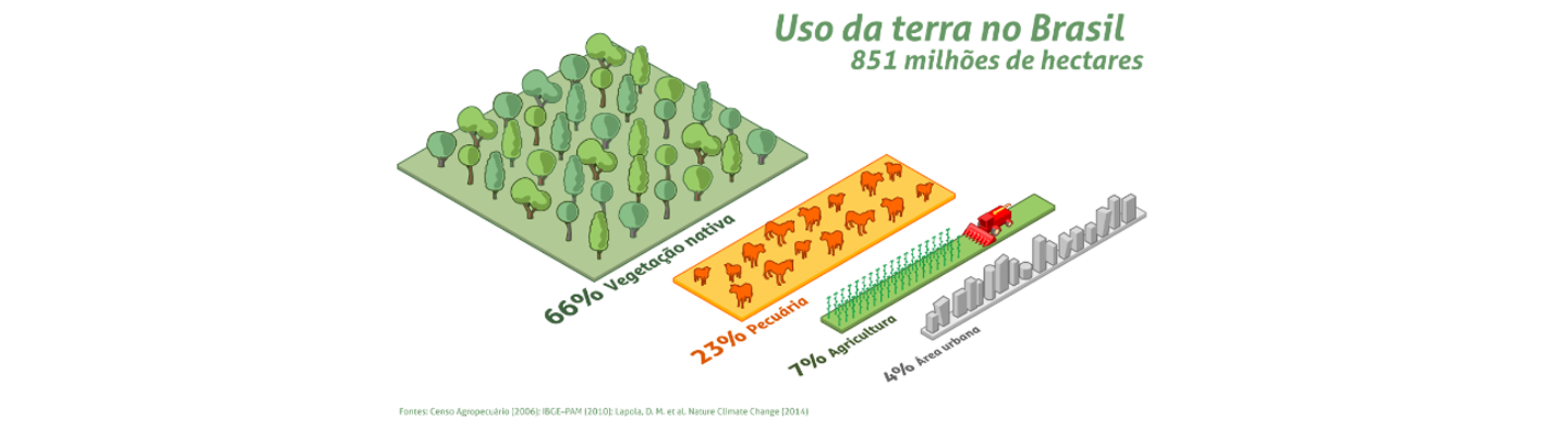 Leia mais sobre o artigo O aproveitamento agrícola e urbano do território brasileiro