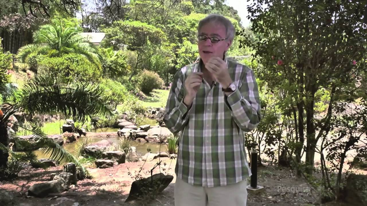 Leia mais sobre o artigo A importância da Amazônia para o Brasil