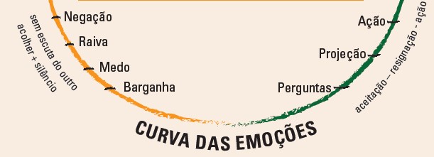 Leia mais sobre o artigo A curva das emoções